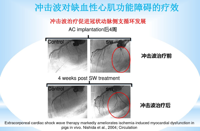 图片17.png